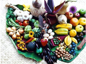 農(nóng)產(chǎn)品溯源系統(tǒng)具有哪些優(yōu)勢(shì)？